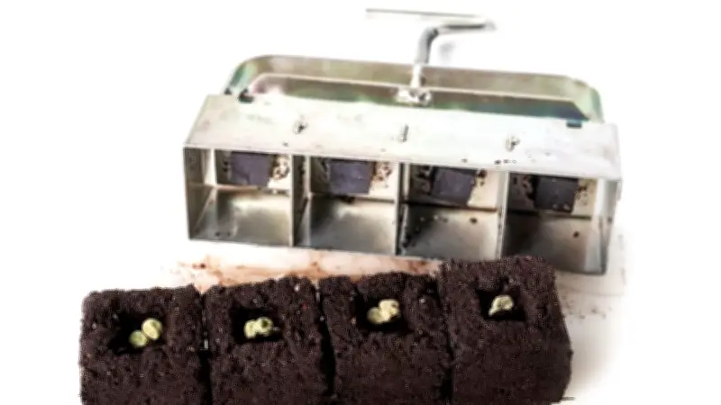 Erdballenpresse: Plastikfreie Pflanzenanzucht mit stabilen Erdwürfeln