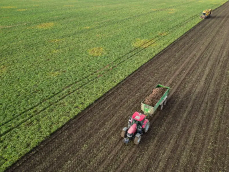 EU-Umfrage startet: Landwirtschaftsbetriebe in Sachsen-Anhalt werden befragt