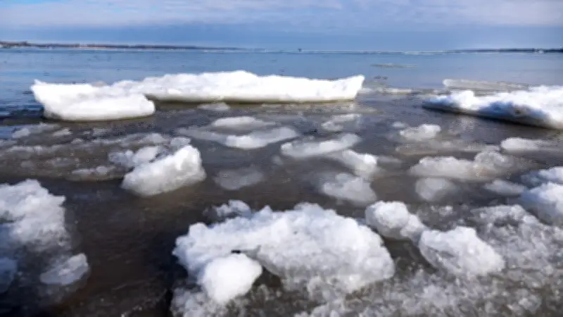 Experten feiern historisch niedrigen Ostsee-Pegel: Beste Wasserqualität seit 140 Jahren