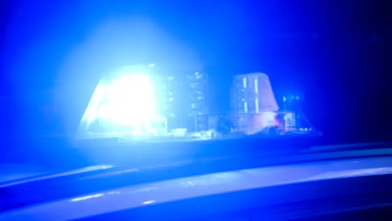 Familie rettet Hund aus eisigem See bei Waren - Polizei warnt vor Gefahren