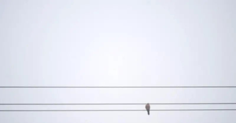 Fasching in Bayern: Wetterdienst warnt vor Glatteis und Regen zum Finale