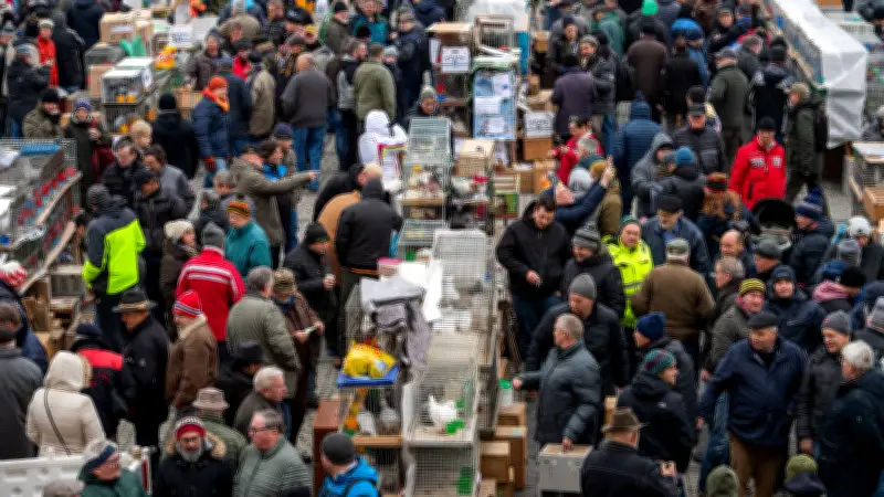 Fast 200 Taubenzüchter aus ganz Europa beim Naumburger Markt - Januar-Termin witterungsbedingt ausgefallen