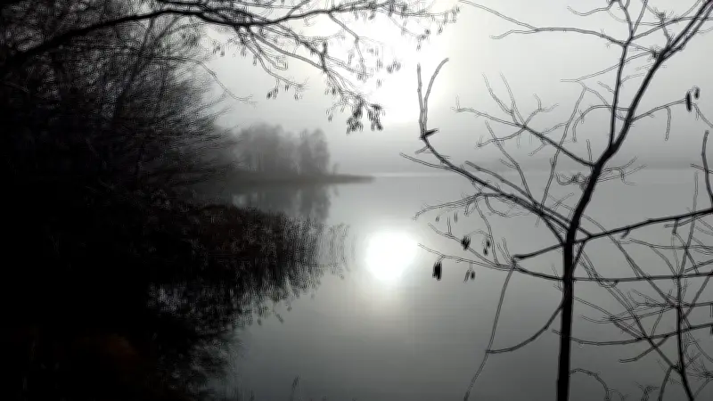 Faszinierendes Farbenspiel: Neue Ausstellung von Henny Warras in Demminer Hanse-Bibliothek eröffnet