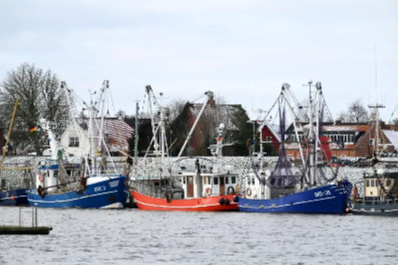 Februar-Wetterbilanz: Von eisigen Tiefstwerten zu frühlingshaften Höchstwerten