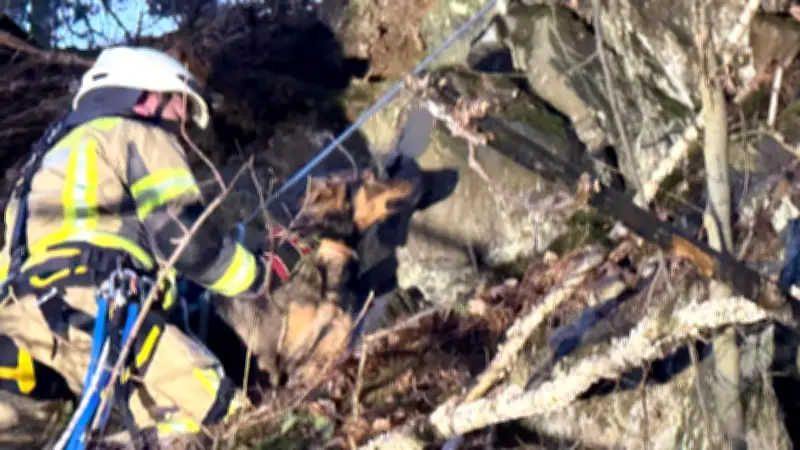 Feuerwehr rettet Hündin Pia von Felswand bei Goslar mit spektakulärer Abseilaktion