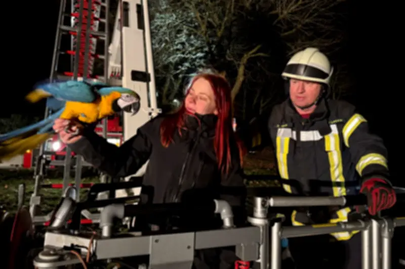 Feuerwehr rettet Papagei Drago aus 15 Metern Höhe in Weyhe