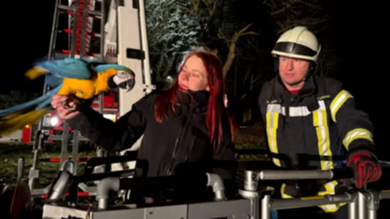 Feuerwehr rettet störrischen Papagei Drago aus 15 Metern Höhe in Weyhe