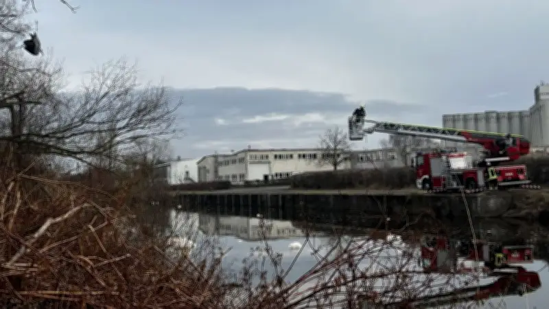 Feuerwehreinsatz in Malchin: Fischreiher aus Baum befreit - Drehleiter im Einsatz