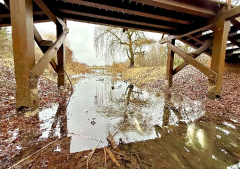 Fischsterben in Dessauer Georgengarten: Stadt nimmt Proben nach Wintertragödie