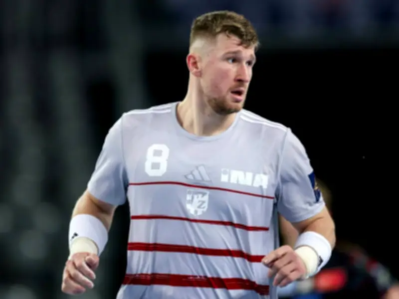 Flensburg reagiert auf Jörgensen-Verletzung: Bosnischer Nationalspieler Faljic kommt