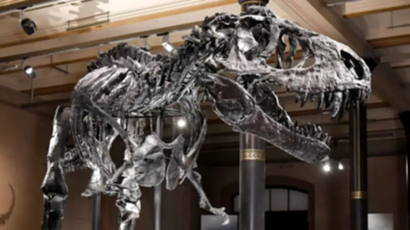 Fossilfund enthüllt: Tyrannosaurus Rex biss seinem Opfer direkt in die Nase