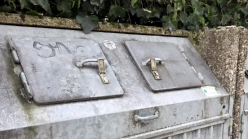 Frau rettet zitterndes Huhn aus verschlossener Mülltonne in Neubrandenburg