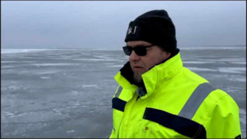 Freiwillige an der Ostsee kämpfen um Schwäne: Vogelgrippe und Eis bedrohen Tiere