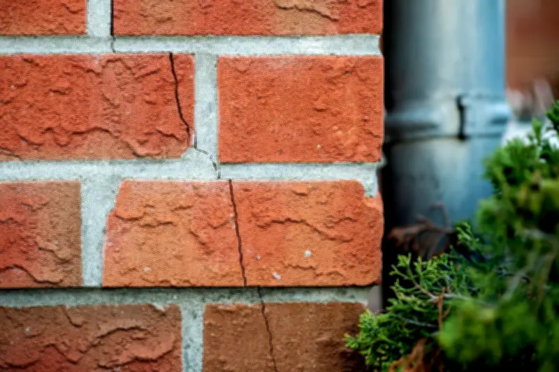 Frühlings-Check fürs Haus: Risse, Schimmel und Dachschäden rechtzeitig erkennen