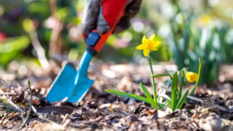 Frühlingserwachen im Garten: Die besten Tipps für die erste Gartenarbeit im Februar
