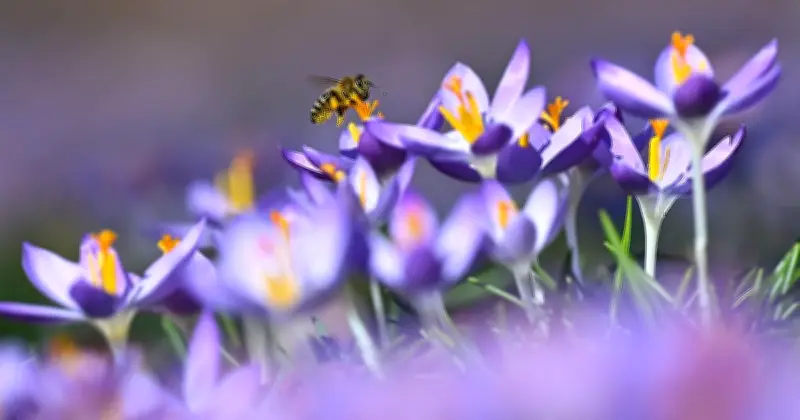 Frühlingserwachen in Bayern: Bis zu 20 Grad und Sonnenschein erwartet