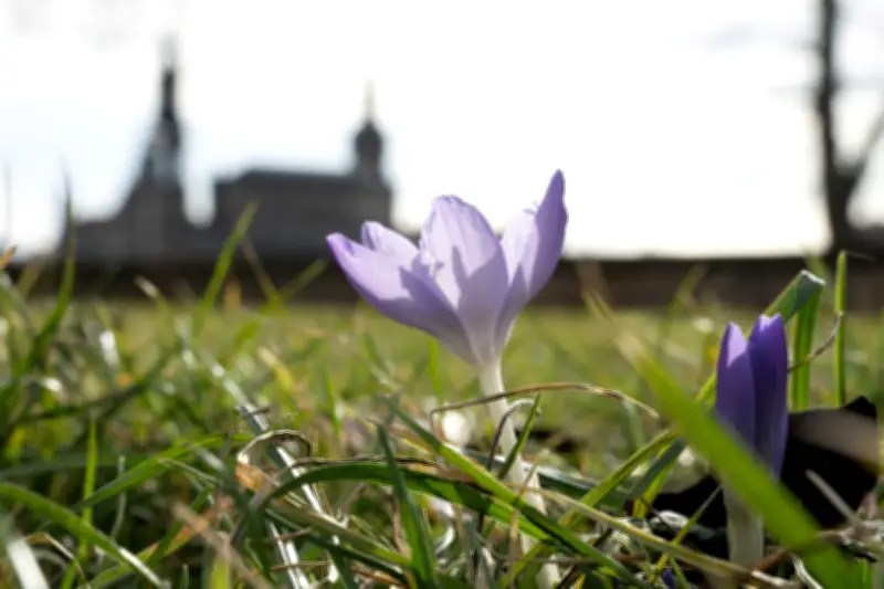 Frühlingserwachen in Sachsen: Wechselhaftes Aprilwetter mit sonnigem Höhepunkt am Mittwoch