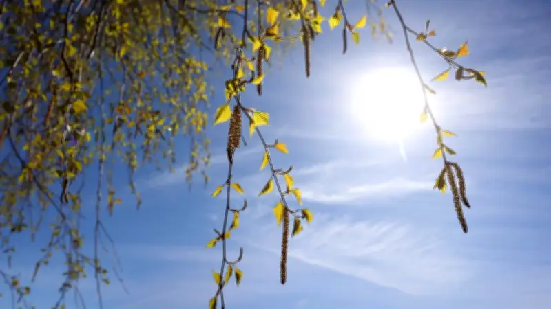 Frühlingserwachen mit bis zu 22 Grad: Meteorologen prophezeien frühes Frühlingswetter