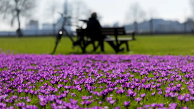 Frühlingserwachen oder Kälterückfall? Die Wetterprognose für Sachsen-Anhalt im März