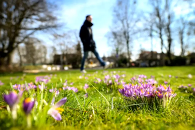 Frühlingshafte Temperaturen am Wochenende in Niedersachsen und Bremen erwartet