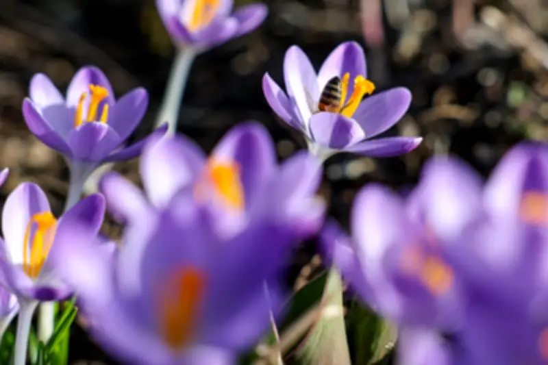 Frühlingshafte Temperaturen bis 19 Grad: Sonniger Samstag in Mitteldeutschland