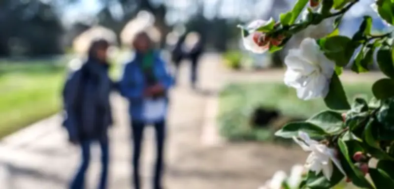 Frühlingshafte Temperaturen in Deutschland: Bis zu 22 Grad und Rekordnähe im Februar
