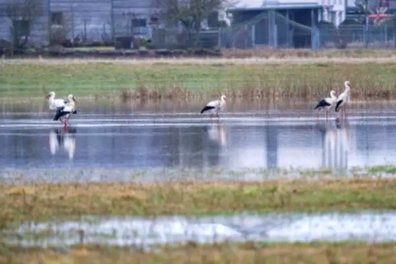 Frühlingshafte Temperaturen nach Regenperiode - DWD meldet bis zu 21 Grad im Südosten