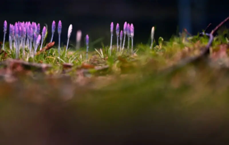 Frühlingswetter hält an: Sonnige Aussichten und milde Temperaturen am Sonntag