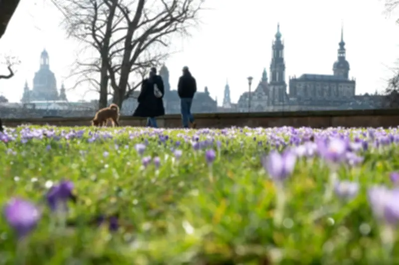 Frühlingswetter mit bis zu 23 Grad: DWD warnt vor kurzer Schönwetterphase