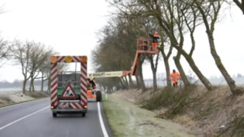 Frost verzögert Baumfällungen: Ausnahmeregelungen nach dem 28. Februar möglich