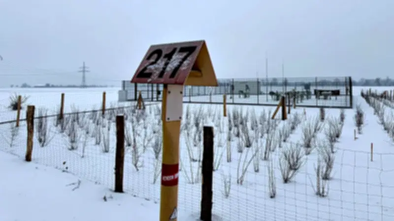 Gascade plant 120 km Wasserstoffpipeline von Bobbau nach Rückerdorf: Eingriff in Natur?