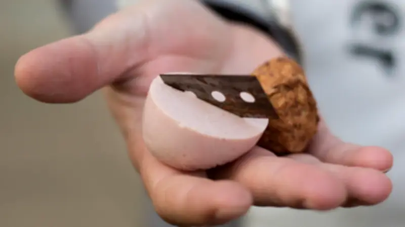 Gefährliche Hundeköder mit Rasierklingen in Halle: Tierquäler erneut aktiv