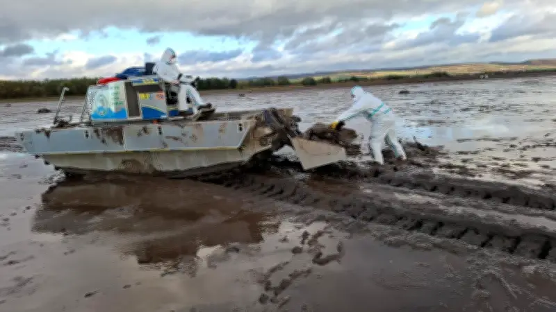 Geflügelpest in Thüringen: Landkreis Mansfeld-Südharz erhöht Wachsamkeit