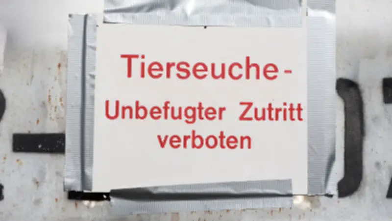 Geflügelpest kehrt zurück: Vogelgrippe-Ausbruch im Kyffhäuserkreis fordert über 10.000 Puten