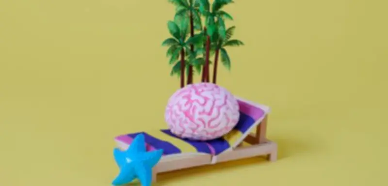 Gehirn im Alltag: Wie Neurowissenschaft zu mehr Zufriedenheit führt