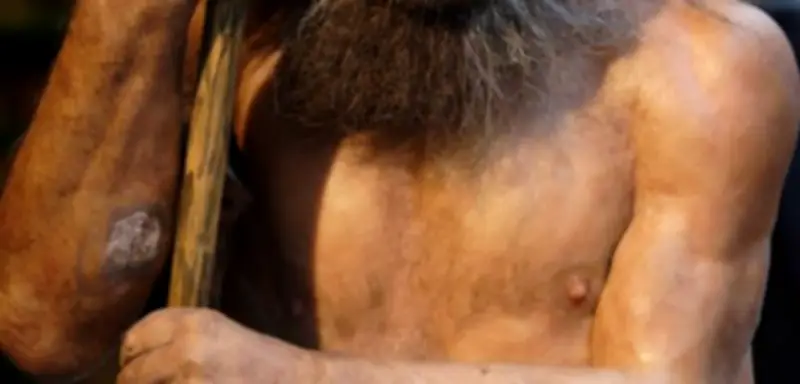 Genetische Studie enthüllt: Neandertaler-Männer paarten sich häufiger mit Homo-sapiens-Frauen