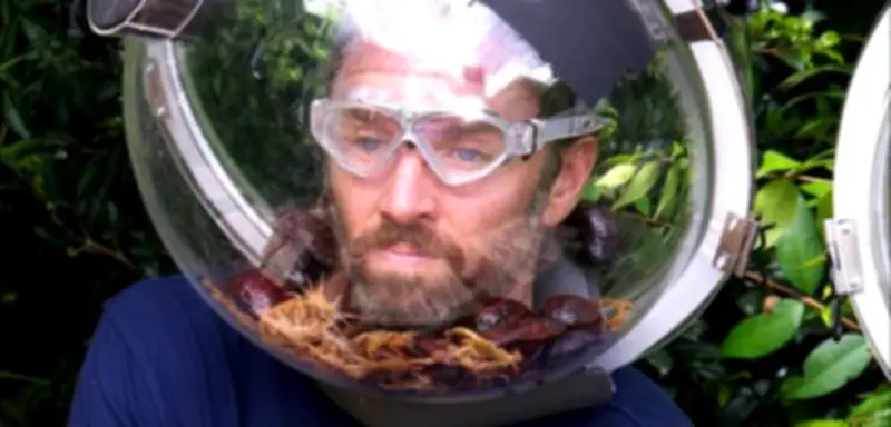 Gil Ofarim gewinnt Dschungelcamp 2026 trotz kontroverser Vergangenheit