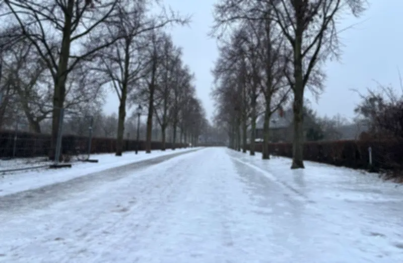 Glättegefahr am Morgen in Brandenburg - Temperaturen steigen im Tagesverlauf