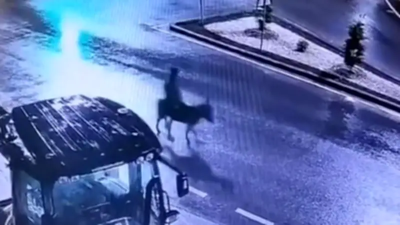 Goldraub in der Türkei: Räuber flieht auf Esel nach 90-Sekunden-Juwelierüberfall