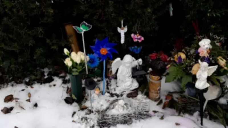 Grab eines Sternenkindes in Güstrow zerstört: Eltern fordern würdevollere Gestaltung