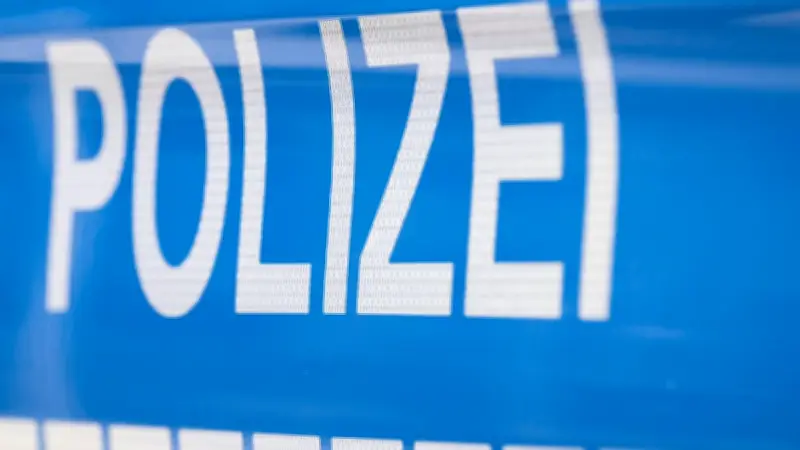 Grausamer Fund: Drei enthauptete Katzen auf Feld bei Blieskastel entdeckt