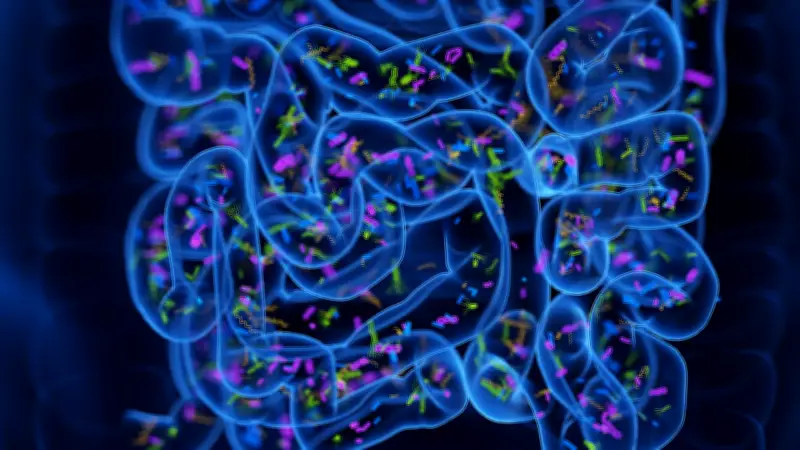 Großstudie enthüllt: Ernährung beeinflusst Darmflora stärker als Probiotika