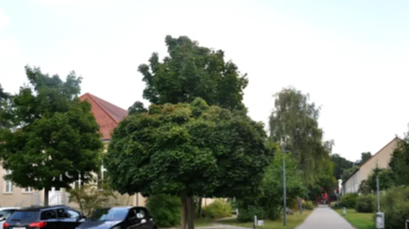 Güstrow plant modernen Berufsschulcampus: Interimsbau bereits fertig, Fertigstellung bis 2036 geplant