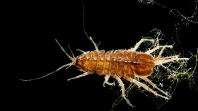 Halles tierische Recycler: Ein Jahr voller tierischer Mitbewohner im Fokus