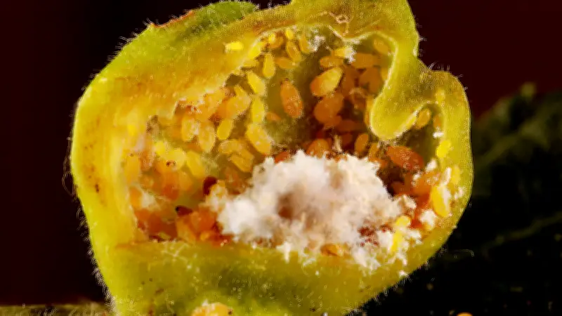 Halles tierische Vielfalt: Ein Jahr voller tierischer Entdeckungen in der Saalestadt