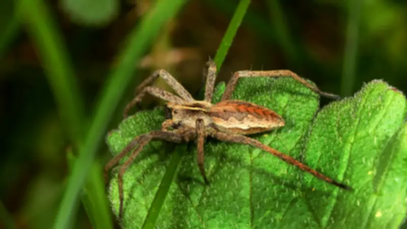 Halles tierische Vielfalt: Ein Jahr voller tierischer Entdeckungen in der Stadt