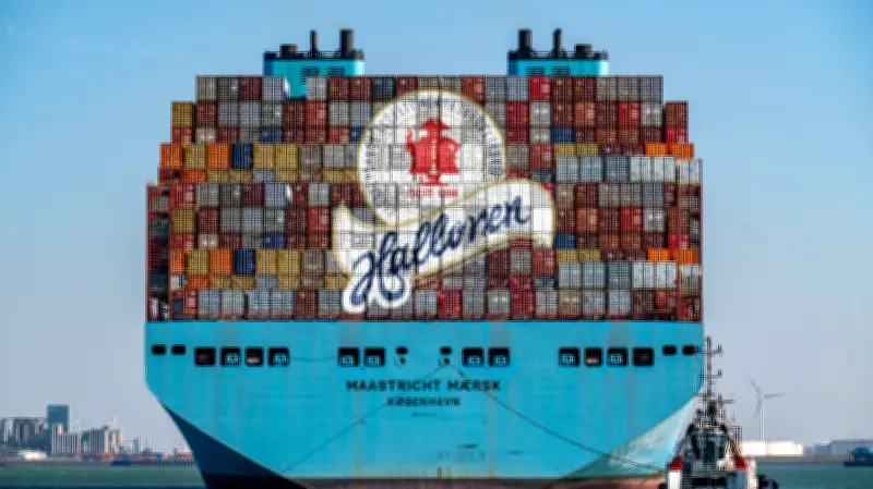 Halloren expandiert in USA: Kakaopreis sinkt - Schokoladenhersteller plant Preissenkungen