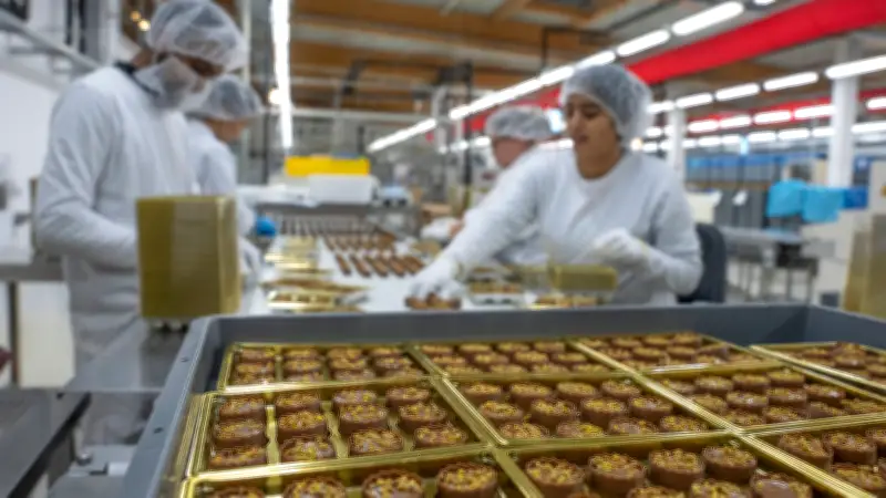 Halloren Schokoladenfabrik feiert Rekordjahr – ZDF-„Besseresser“ Lege als Impulsgeber