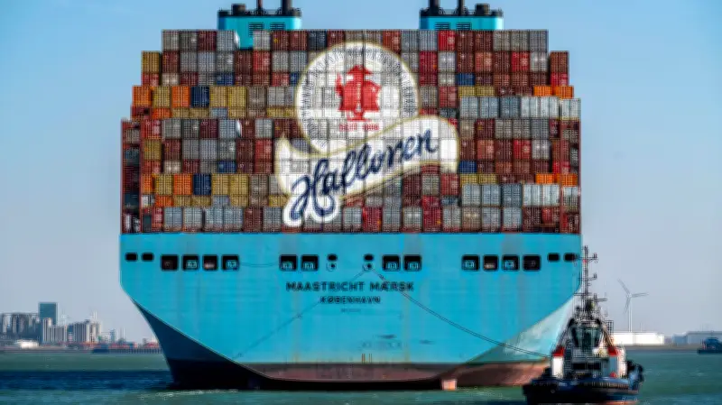 Halloren trotzt US-Zöllen: Schokoladenexporte boomen trotz politischer Hürden