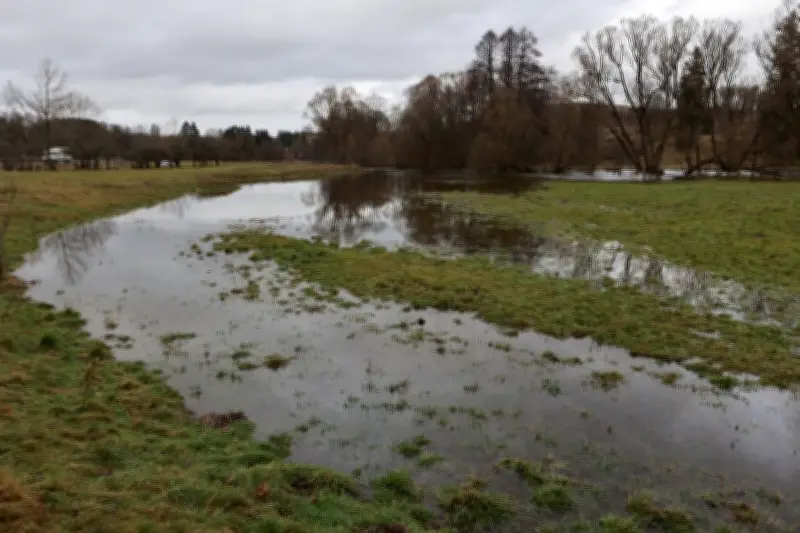 Harz-Flüsse trotz gestiegener Pegel: Keine Hochwasser-Alarmstufen aktiv